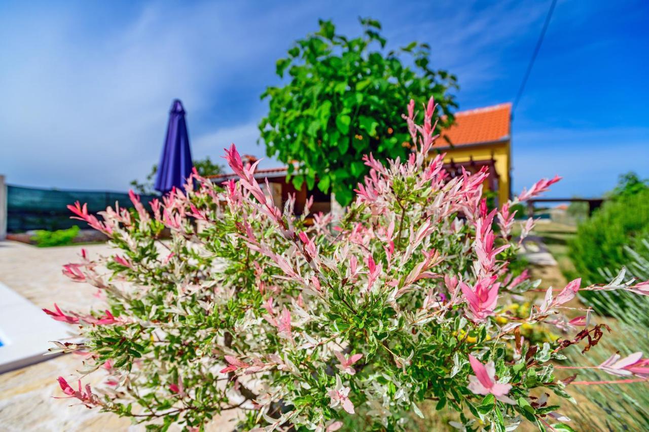 Sunny House Villa Smokovic Dış mekan fotoğraf