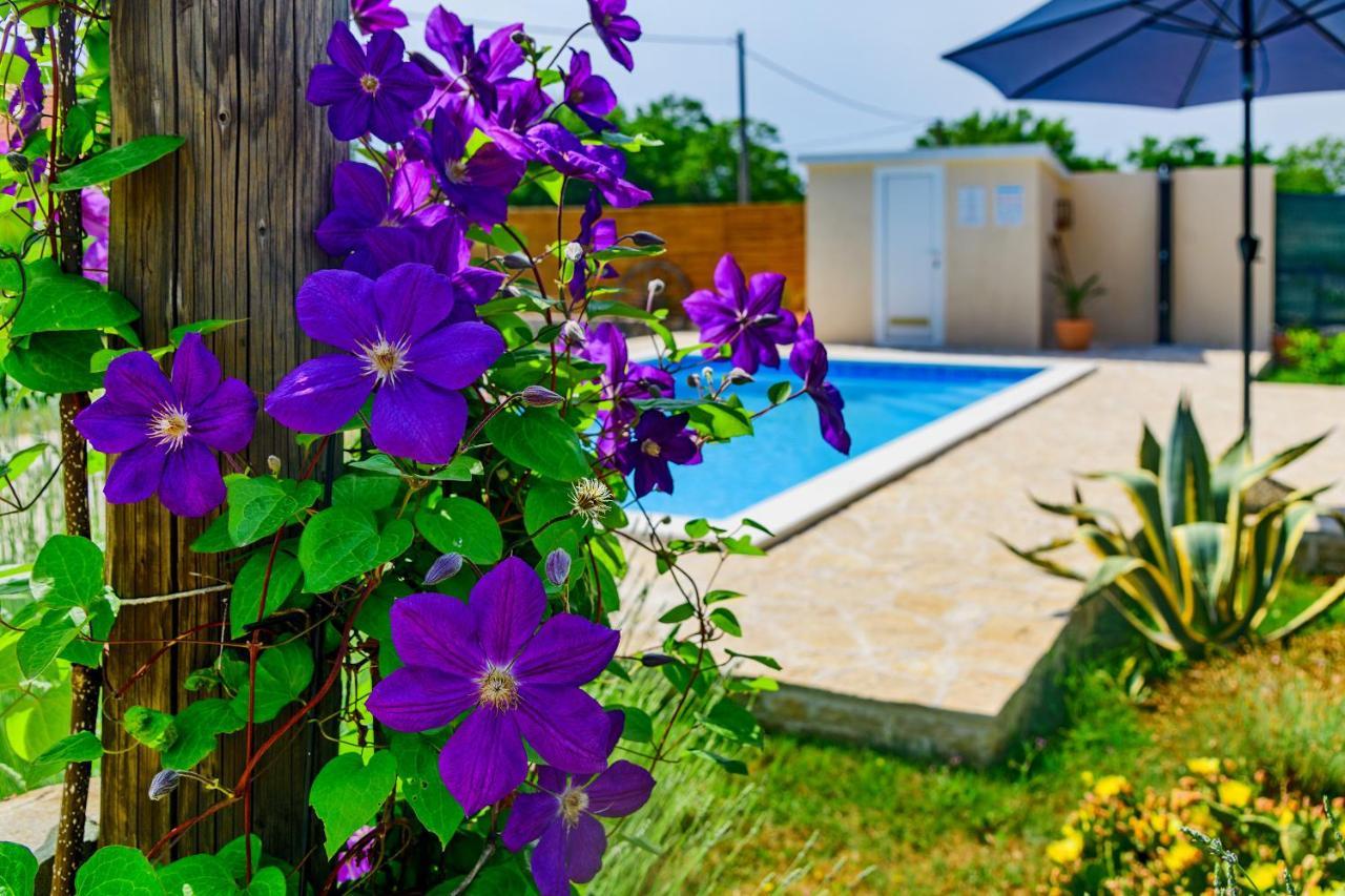 Sunny House Villa Smokovic Dış mekan fotoğraf