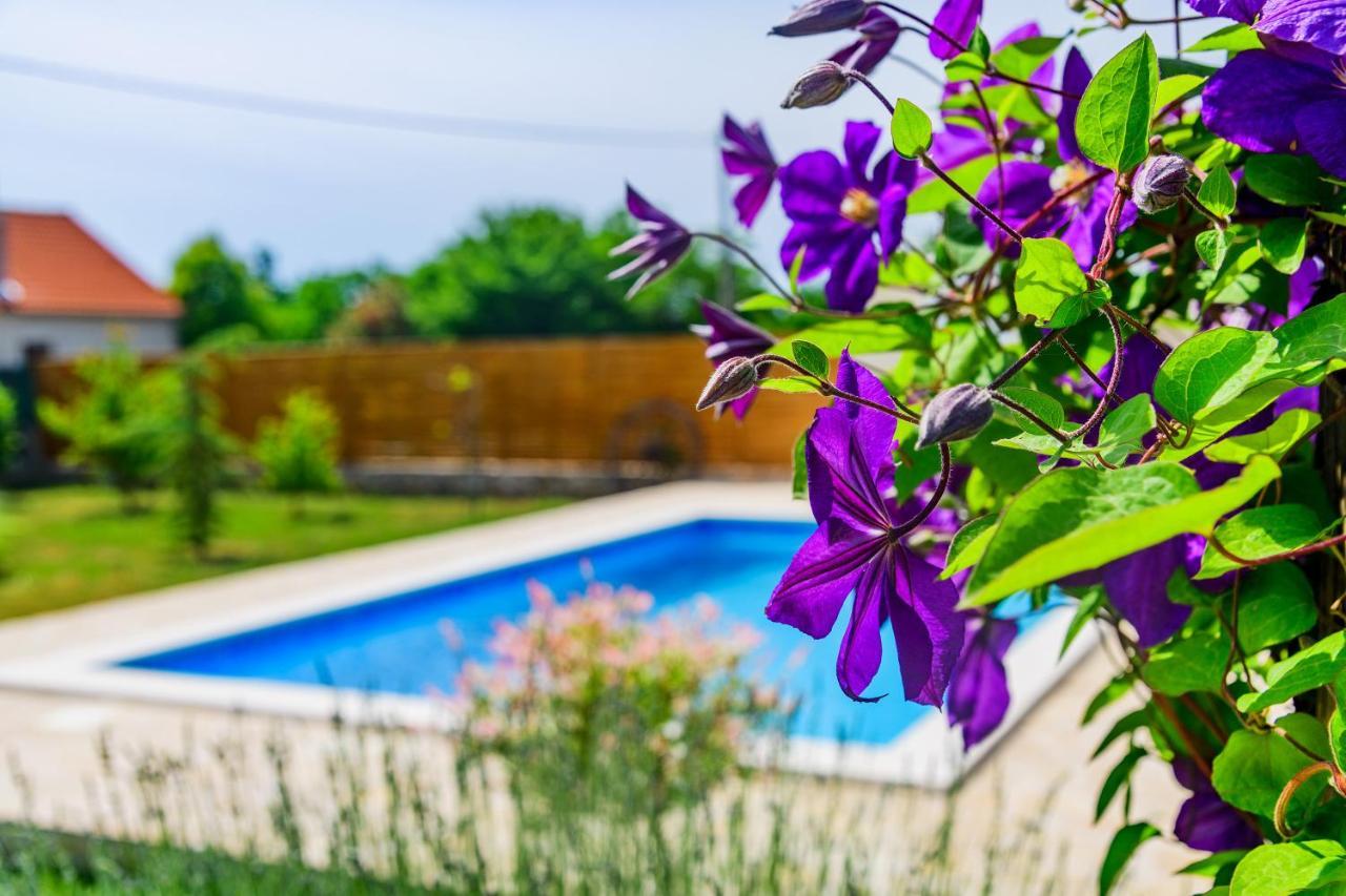 Sunny House Villa Smokovic Dış mekan fotoğraf