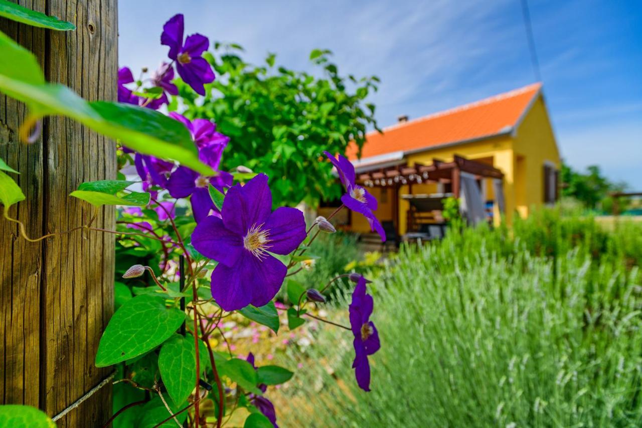 Sunny House Villa Smokovic Dış mekan fotoğraf
