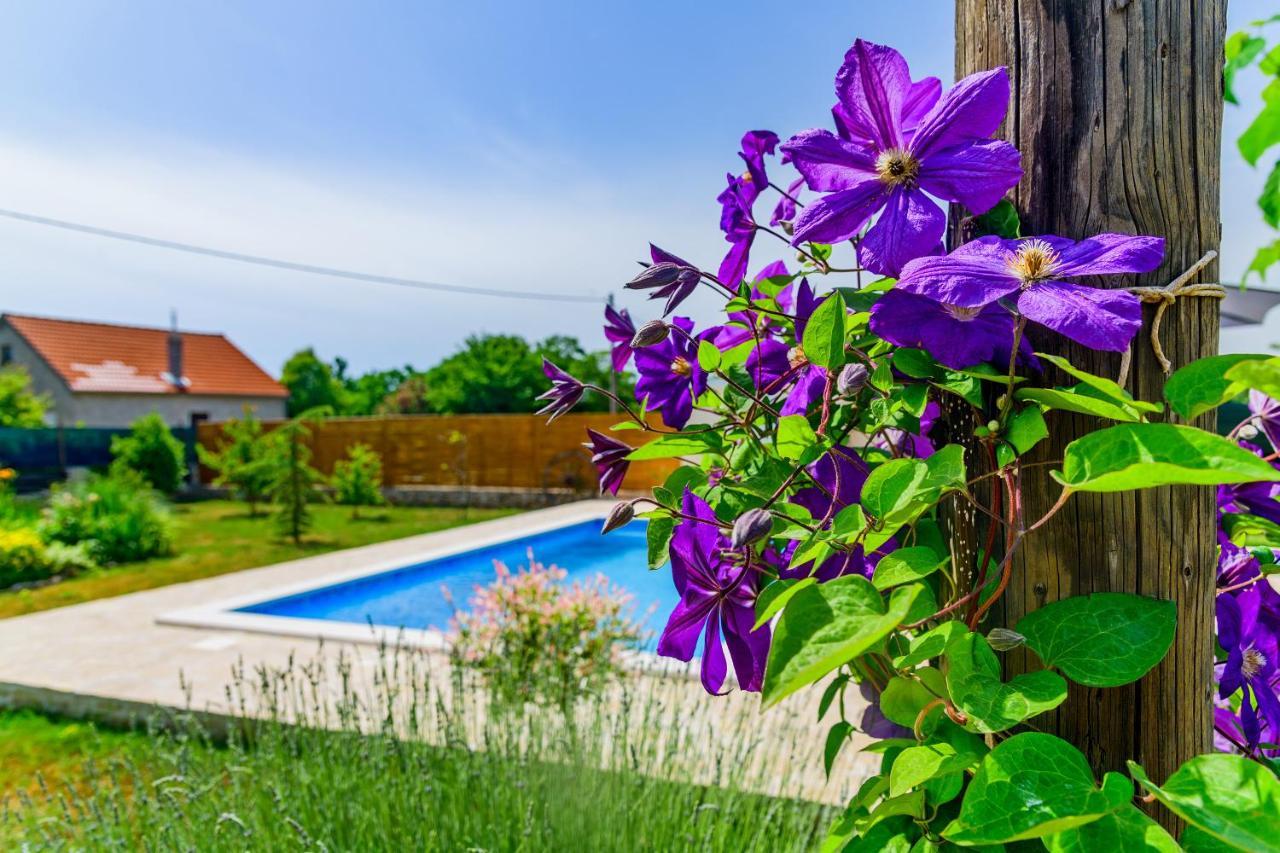 Sunny House Villa Smokovic Dış mekan fotoğraf
