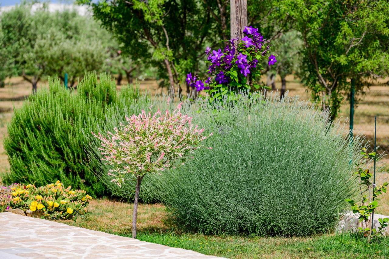 Sunny House Villa Smokovic Dış mekan fotoğraf