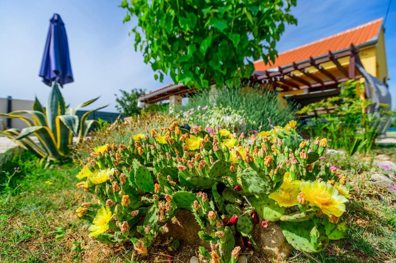 Sunny House Villa Smokovic Dış mekan fotoğraf