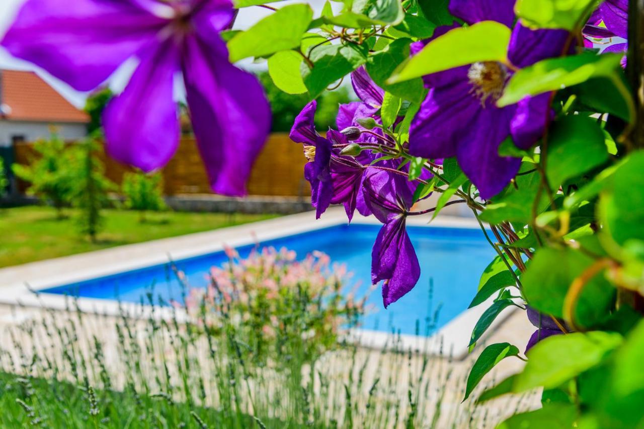 Sunny House Villa Smokovic Dış mekan fotoğraf